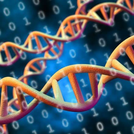 bioinformatics